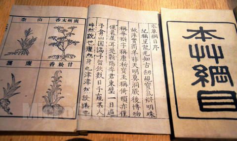 本草纲目