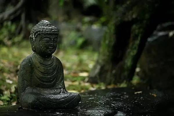 千古奇文《韬晦术》,为人、经商、从政必读的枕边书