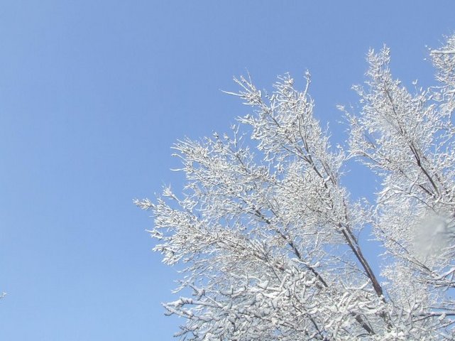 春日山中对雪有作