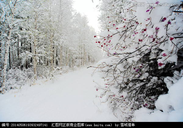 山中雪后