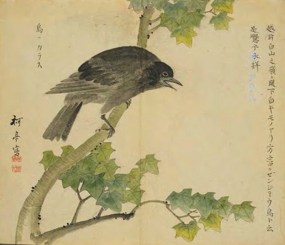 旄丘