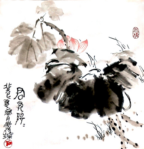 君子阳阳