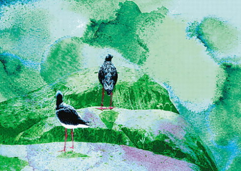 东门之池