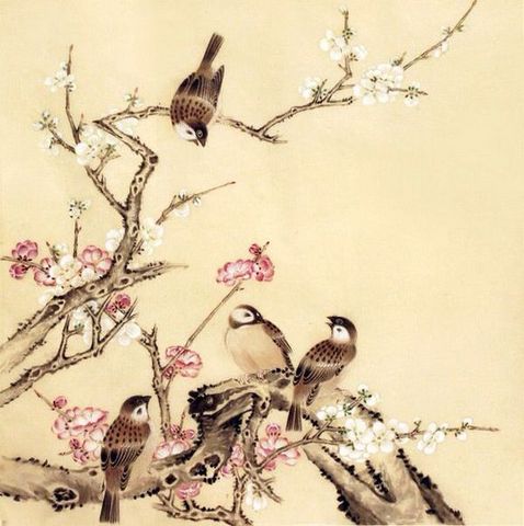 黄鸟
