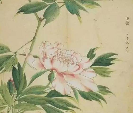 臣工