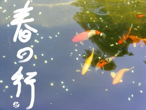 春日行
