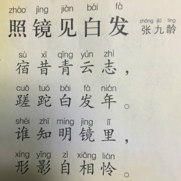 谁知明镜里，形影自相怜。全诗意思及赏析