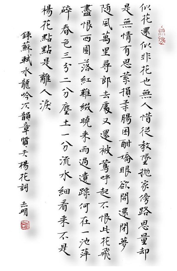 抛家傍路，思量却是，无情有思。全诗词意思及赏析