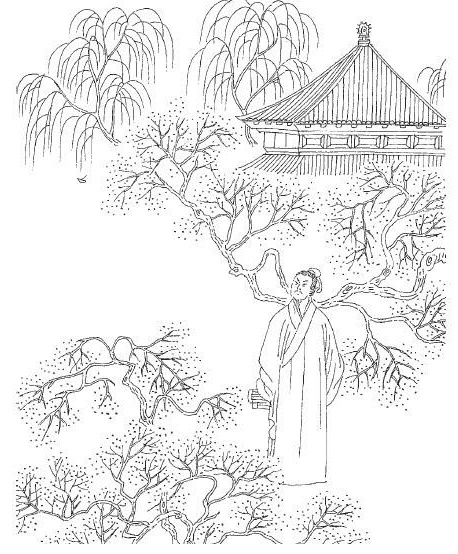 小怜初上琵琶，晓来思绕天涯。全诗词意思及赏析