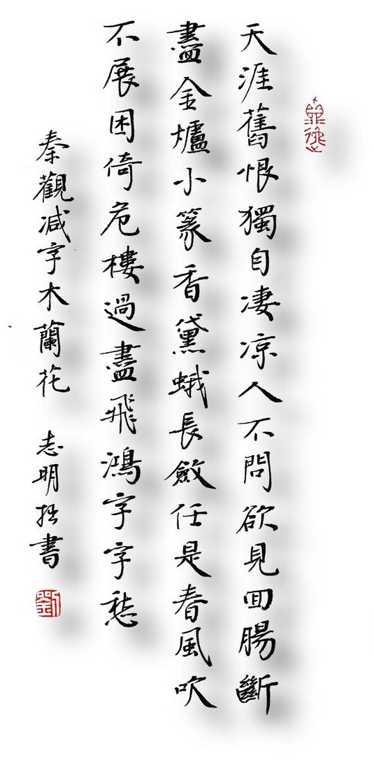 天涯旧恨，独自凄凉人不问。全诗词意思及赏析