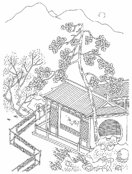 金风细细，叶叶梧桐坠。全诗词意思及赏析