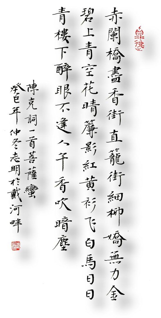 黄衫飞白马，日日青楼下。全诗词意思及赏析