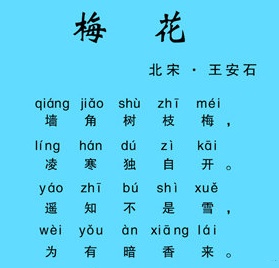 遥知不是雪，为有暗香来。全诗意思及赏析