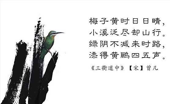 绿阴不减来时路，添得黄鹂四五声。全诗意思及赏析
