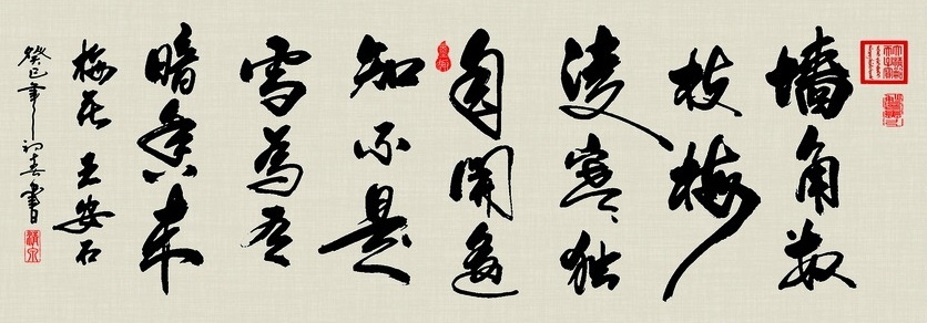 遥知不是雪，为有暗香来。全诗意思及赏析