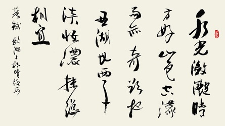 水光潋滟晴方好，山色空濛雨亦奇。全诗意思及赏析