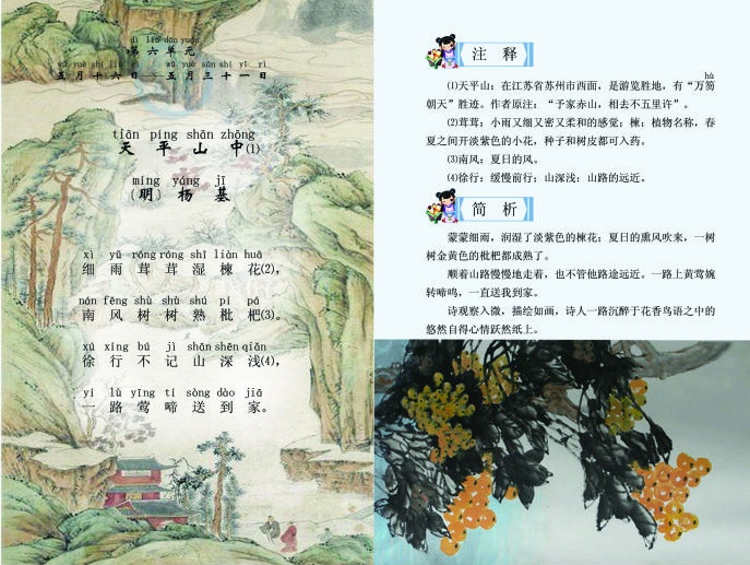 细雨茸茸湿楝花，南风树树熟枇杷。全诗意思及赏析
