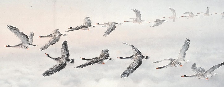 莫道春来便归去，江南虽好是他乡。全诗意思及赏析