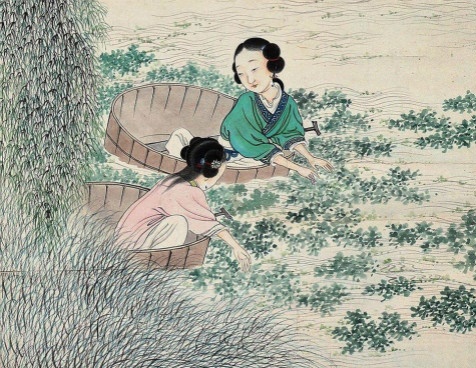 岸蓼疏红水荇青，茨菰花白小如萍。全诗意思及赏析