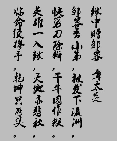 临命须掺手，乾坤只两头！全诗意思及赏析