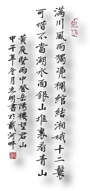 可惜不当湖水面，银山堆里看青山。全诗意思及赏析