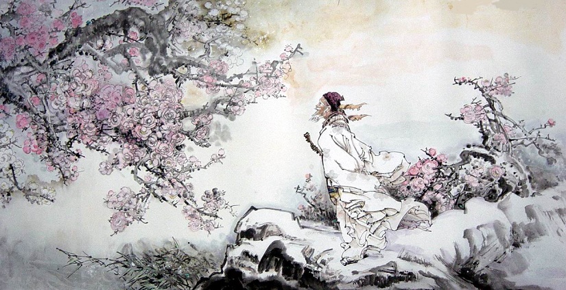 何方可化身千亿？一树梅花一放翁。全诗意思及赏析