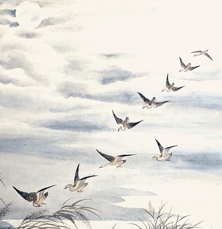 白露沾野草，时节忽复易。全诗意思及赏析