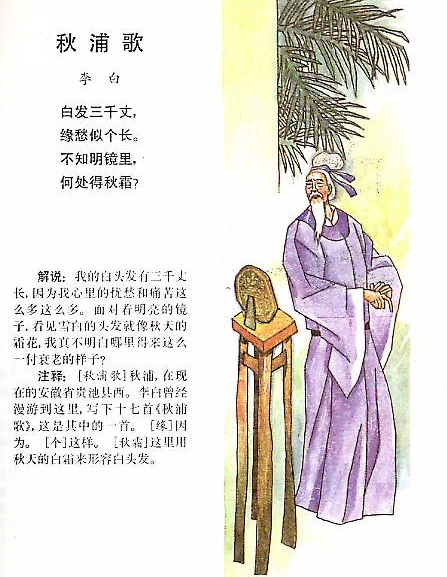 不知明镜里，何处得秋霜。全诗意思及赏析
