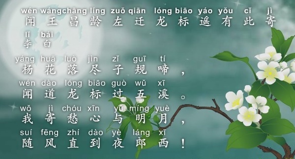 杨花落尽子规啼，闻道龙标过五溪。全诗意思及赏析