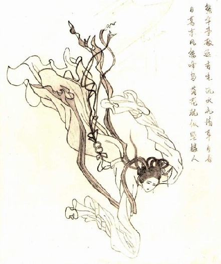 日暮东风怨啼鸟，落花犹似坠楼人。全诗意思及赏析