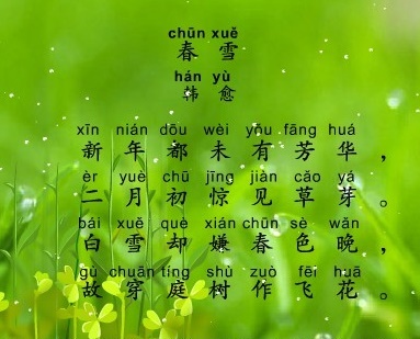 白雪却嫌春色晚，故穿庭树作飞花。全诗意思及赏析