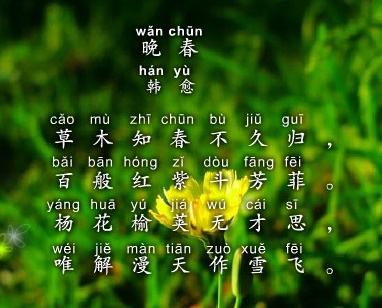 杨花榆荚无才思，惟解漫天作雪飞。全诗意思及赏析