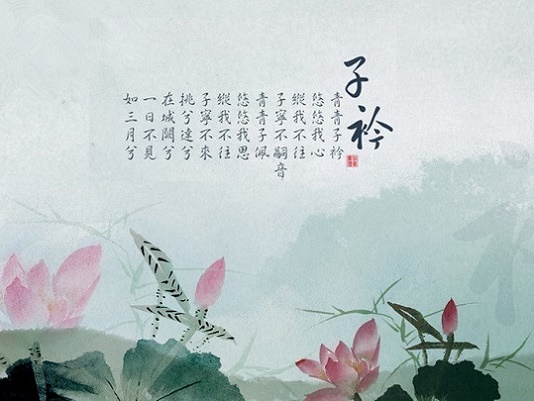 青青子衿，悠悠我心。纵我不往，子宁不嗣音？全诗意思及赏析