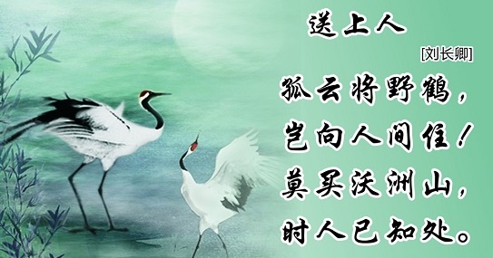 孤云将野鹤，岂向人间住。全诗意思及赏析