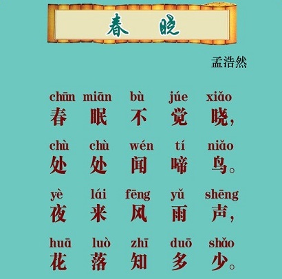 春眠不觉晓，处处闻啼鸟。全诗意思及赏析