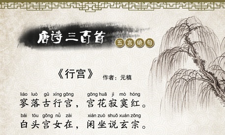 白头宫女在，闲坐说玄宗。全诗意思及赏析